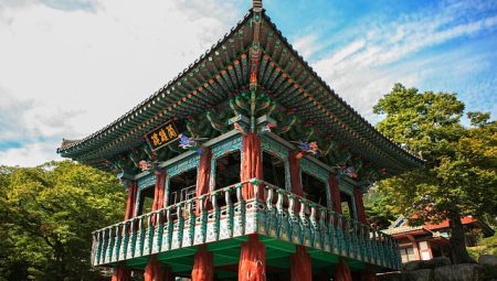 Which Mountain Tours Offer the Best Views? Which Mountain Tours Offer the Best Views?