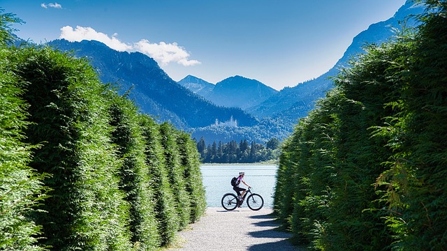 Which Mountain Tours Offer the Best Views? Which Mountain Tours Offer the Best Views?