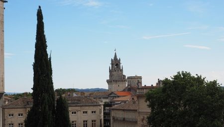 Which Safari Tours Offer the Best Wildlife Viewing?