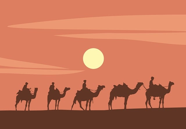 Which Season is Best for Your Dream Trip?