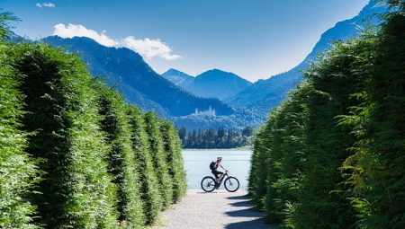 Which Street Art Tours Show the Best Urban Culture?